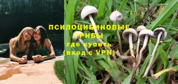 прущие крисы Алексин