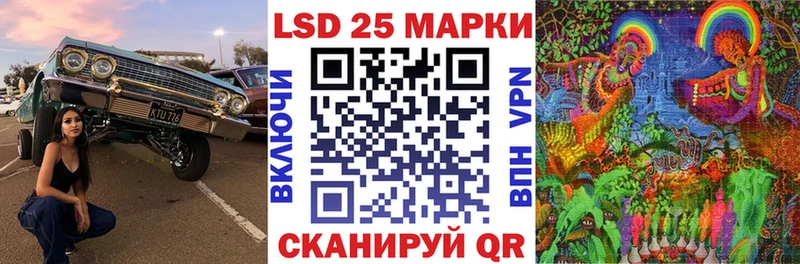 купить наркоту  Багратионовск  Наркотические марки 1,5мг 