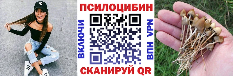 Псилоцибиновые грибы GOLDEN TEACHER  купить  цена  Багратионовск 