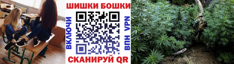 blacksprut ссылки  Багратионовск  Шишки марихуана Ganja  что такое  